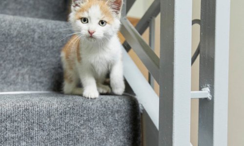 «Теплый дом» - 9